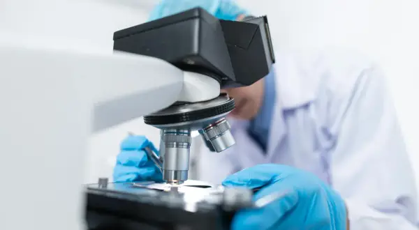Biotechnologia - jakie przedmioty na maturze, aby nie przegapić szansy