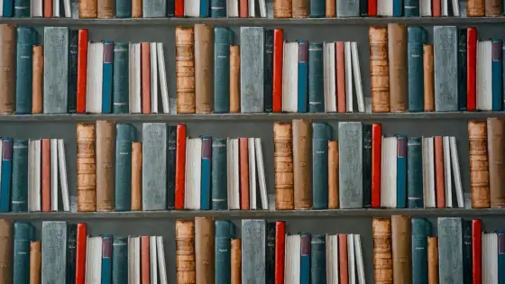 Jakie przedmioty na maturze do pedagogiki wczesnoszkolnej? Sprawdź wymagania
